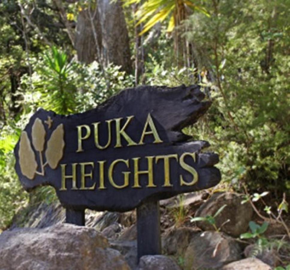 Puka Heights Bed and Breakfast Pauanui Εξωτερικό φωτογραφία